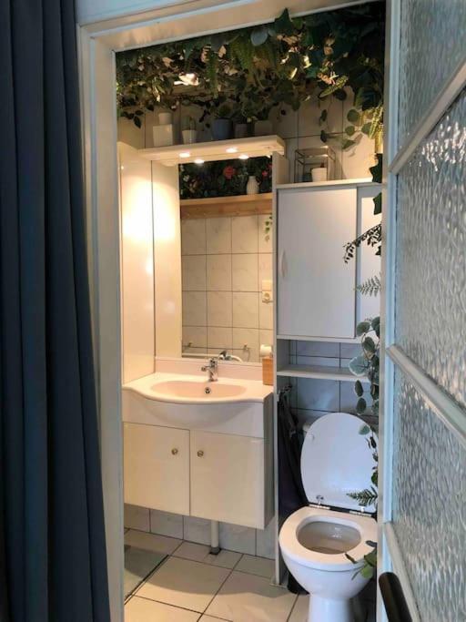 Studio Zeezucht Blankenberge Extérieur photo