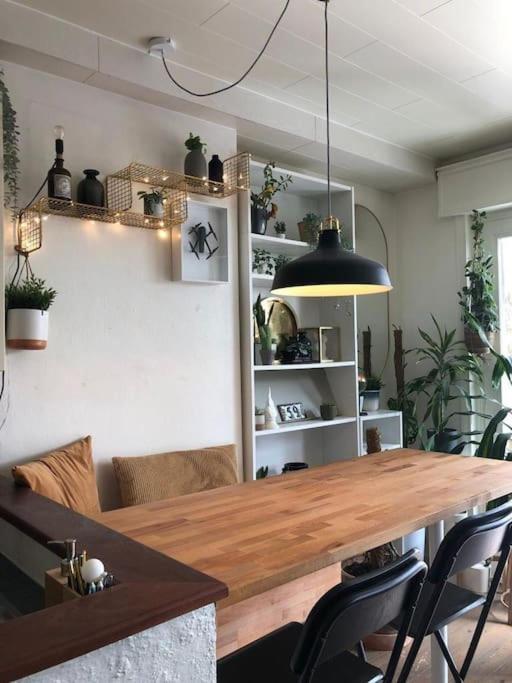 Studio Zeezucht Blankenberge Extérieur photo